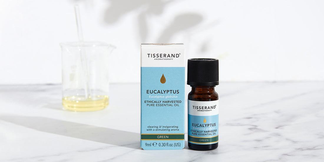 Eucalyptus essential oil of the month
