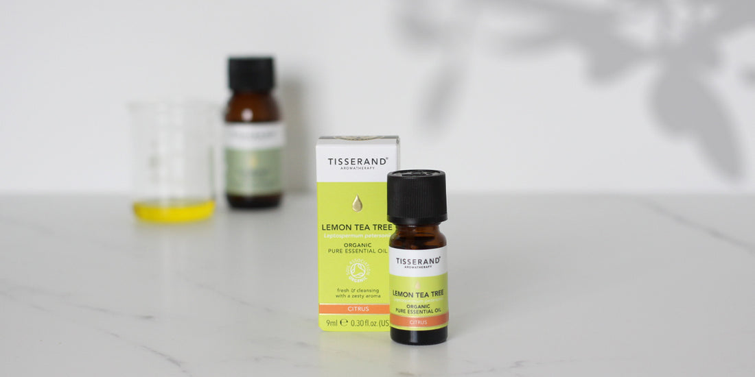 Lemon TeaTree