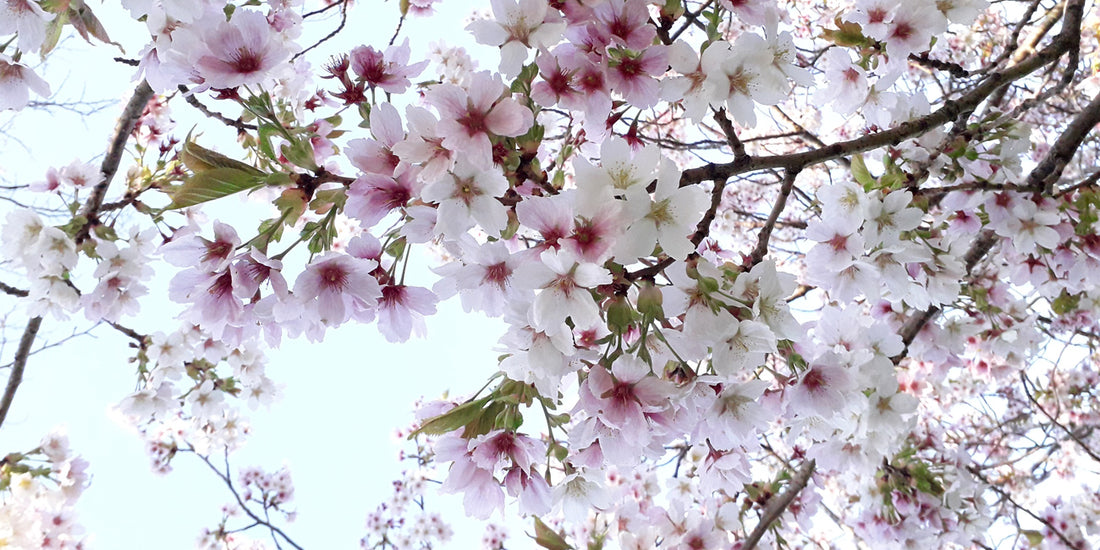 Tips to remain positive and prioritise your wellbeing