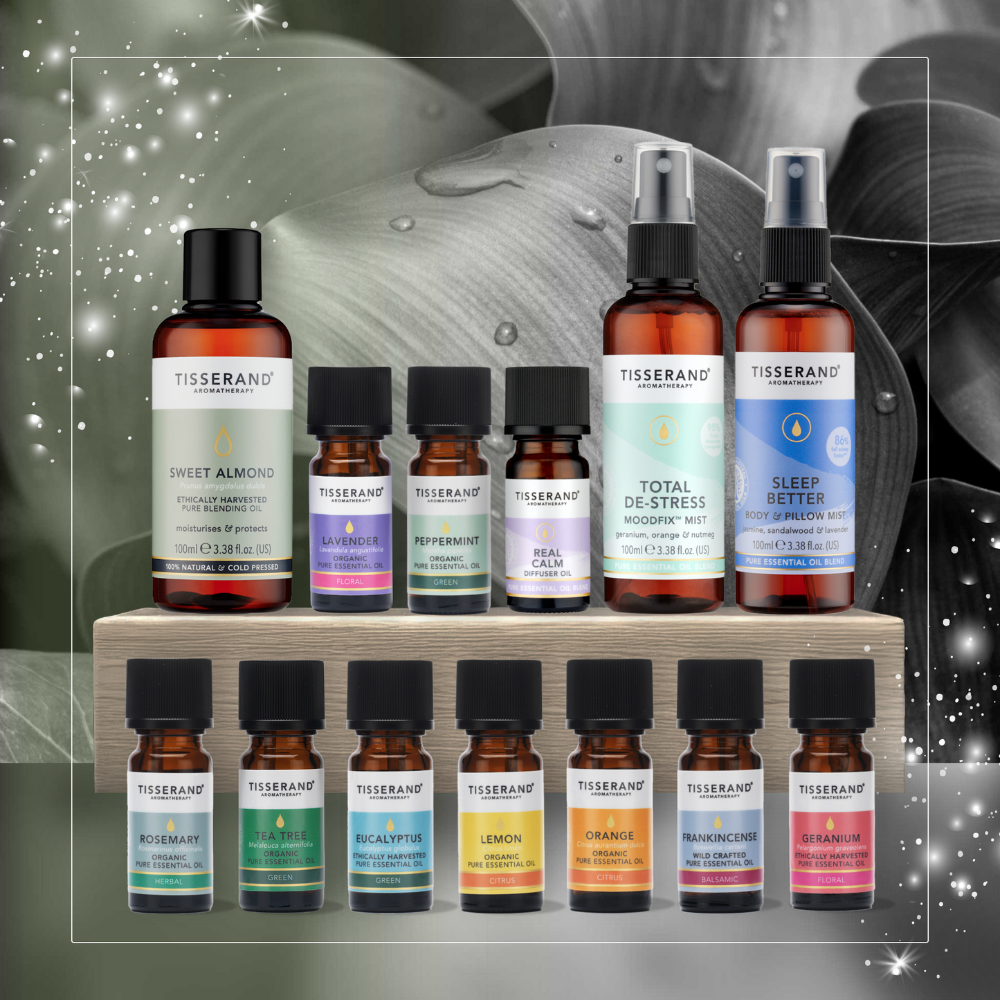 Black Friday Best Sellers Bundle