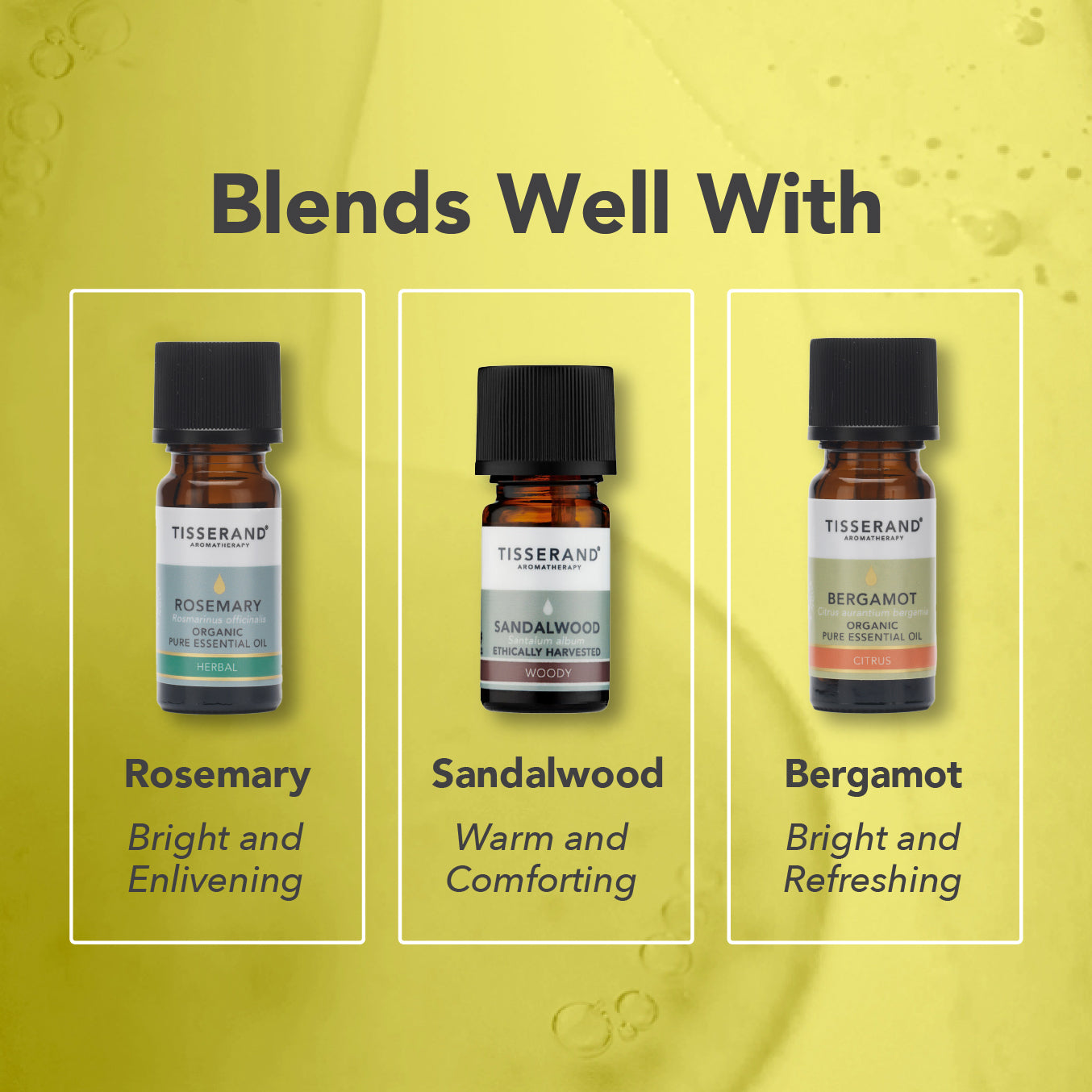 Cardamom Essential Oil