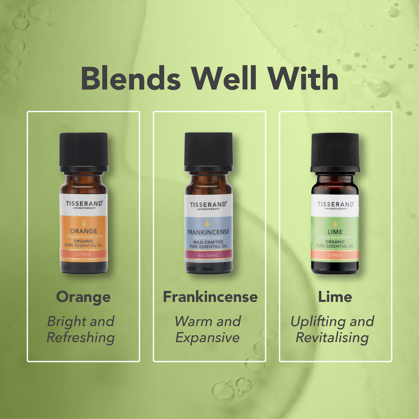 Citronella Essential Oil