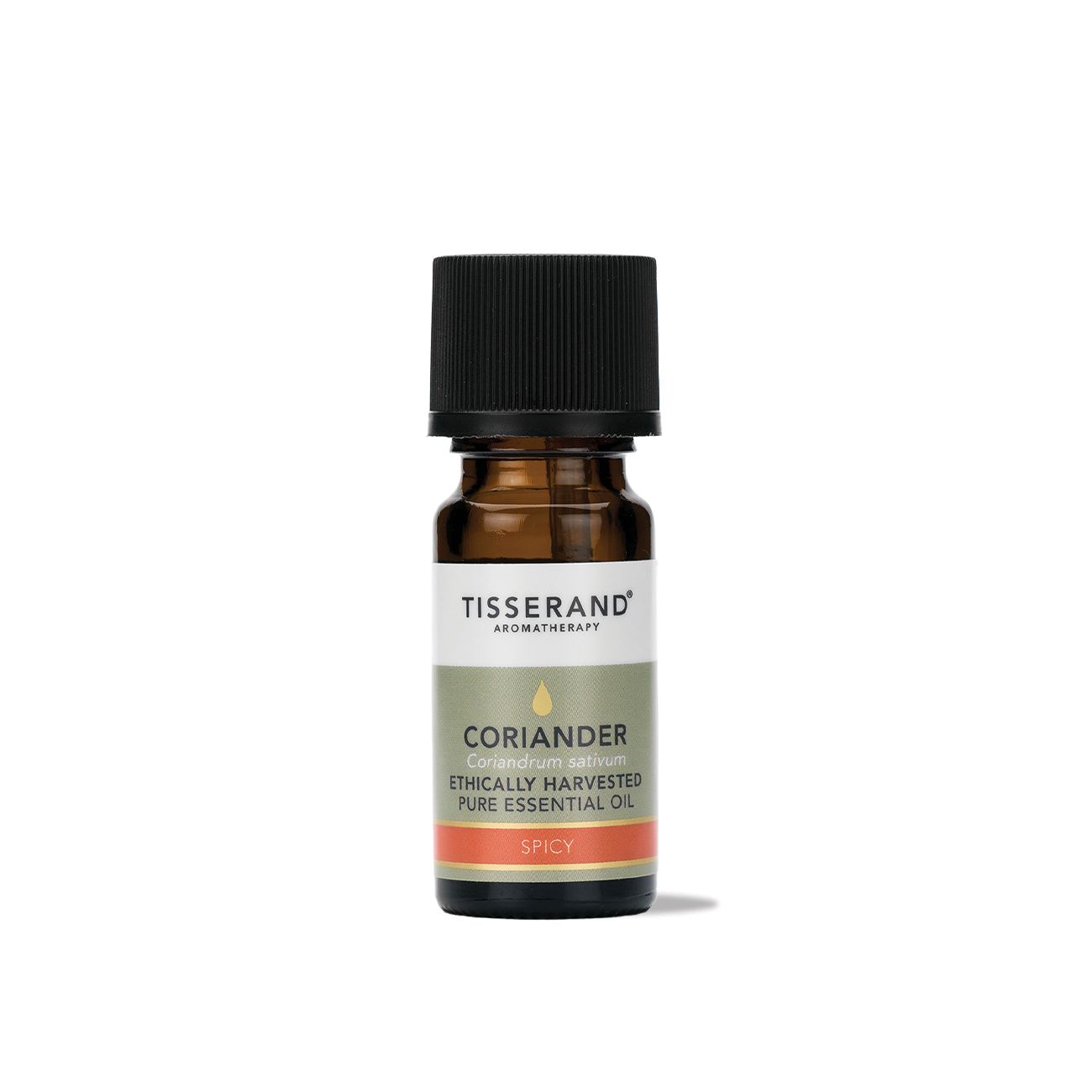Coriander Essential Oil
