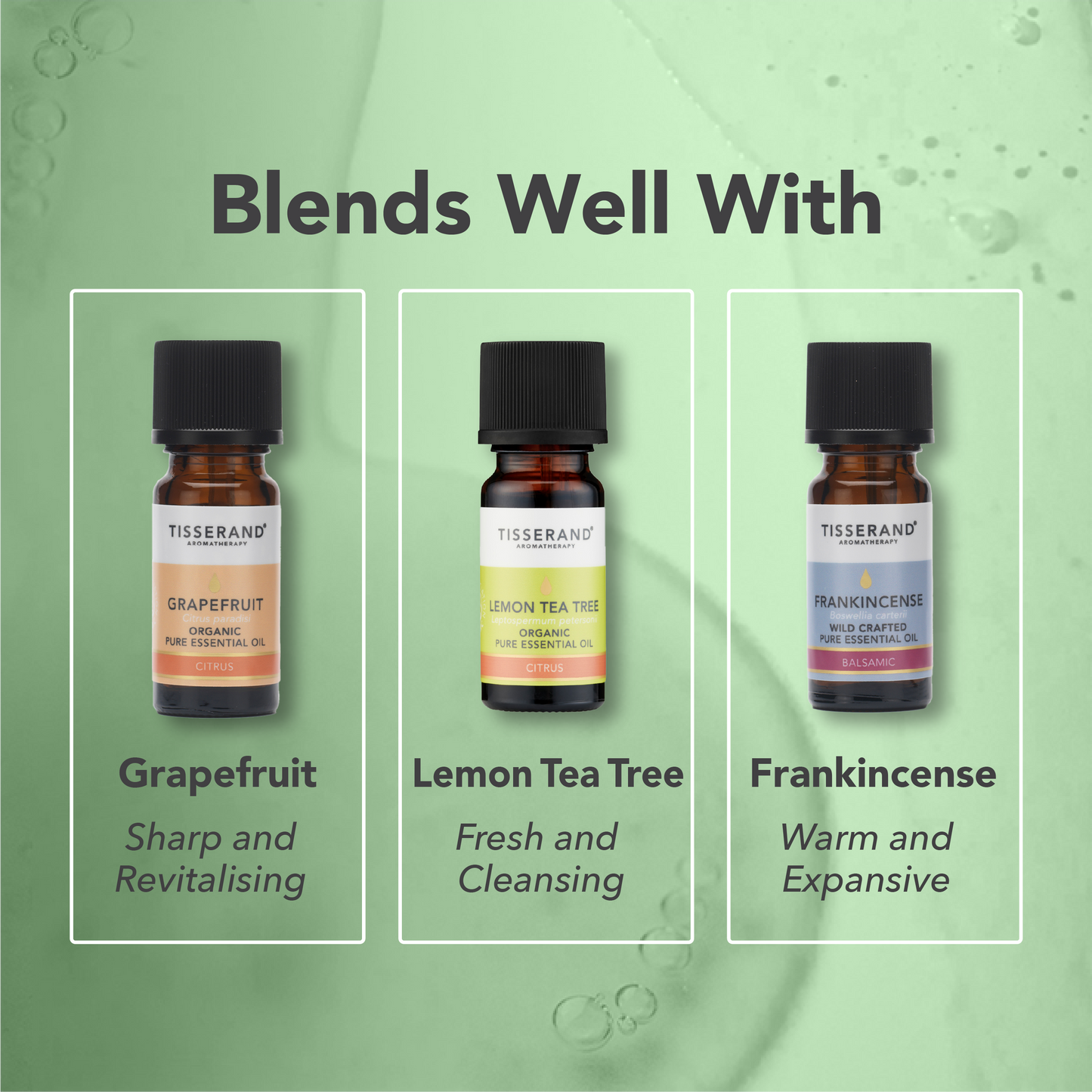 Cypress Essential Oil