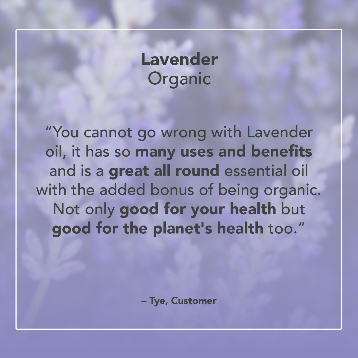 Lavender Organic Essential Oil
