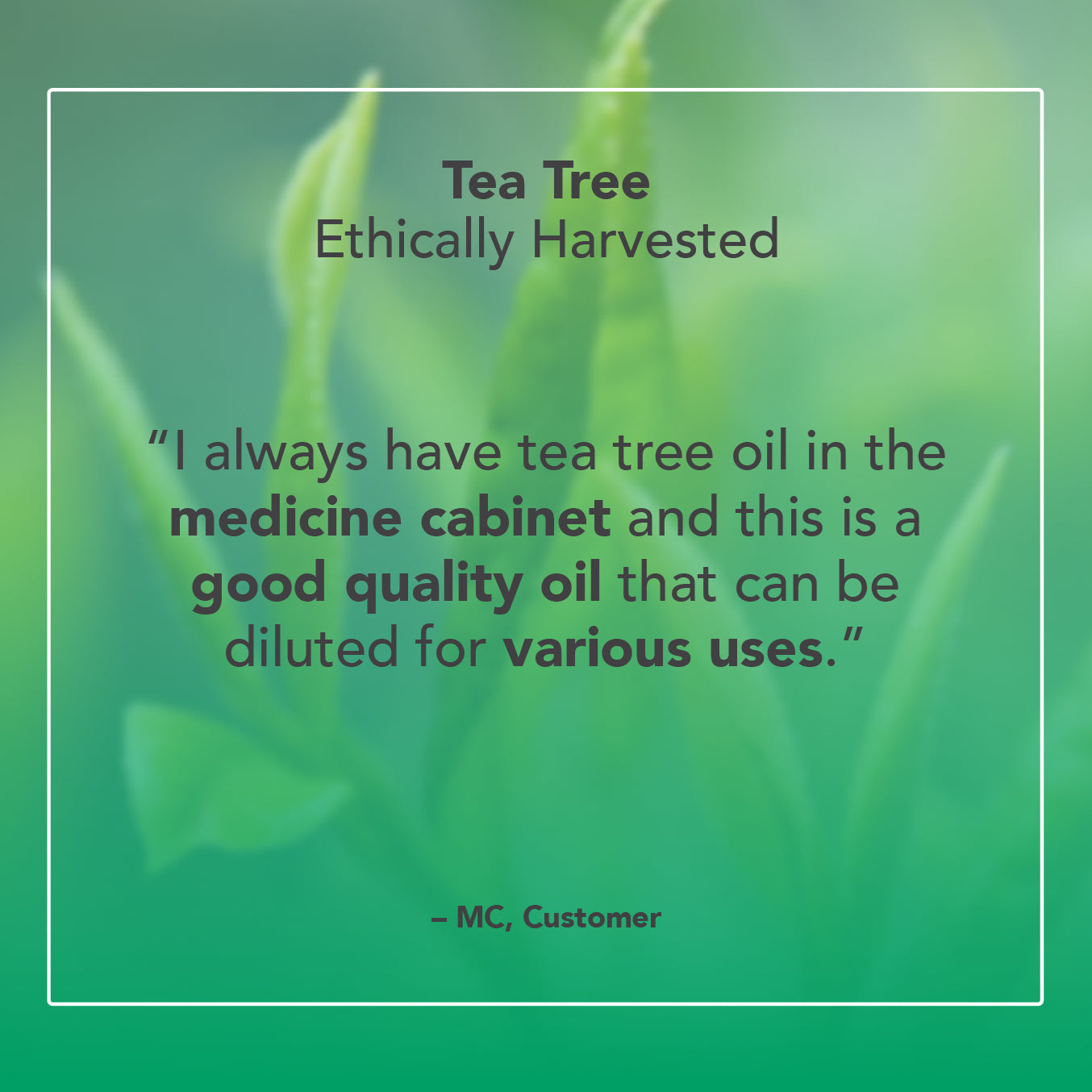 Tea Tree Organic Essential Oil