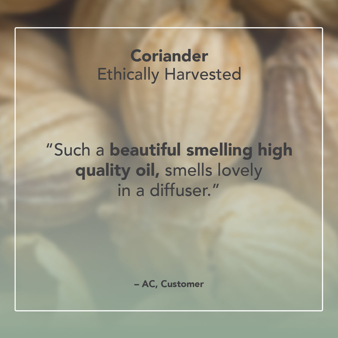 Coriander Essential Oil