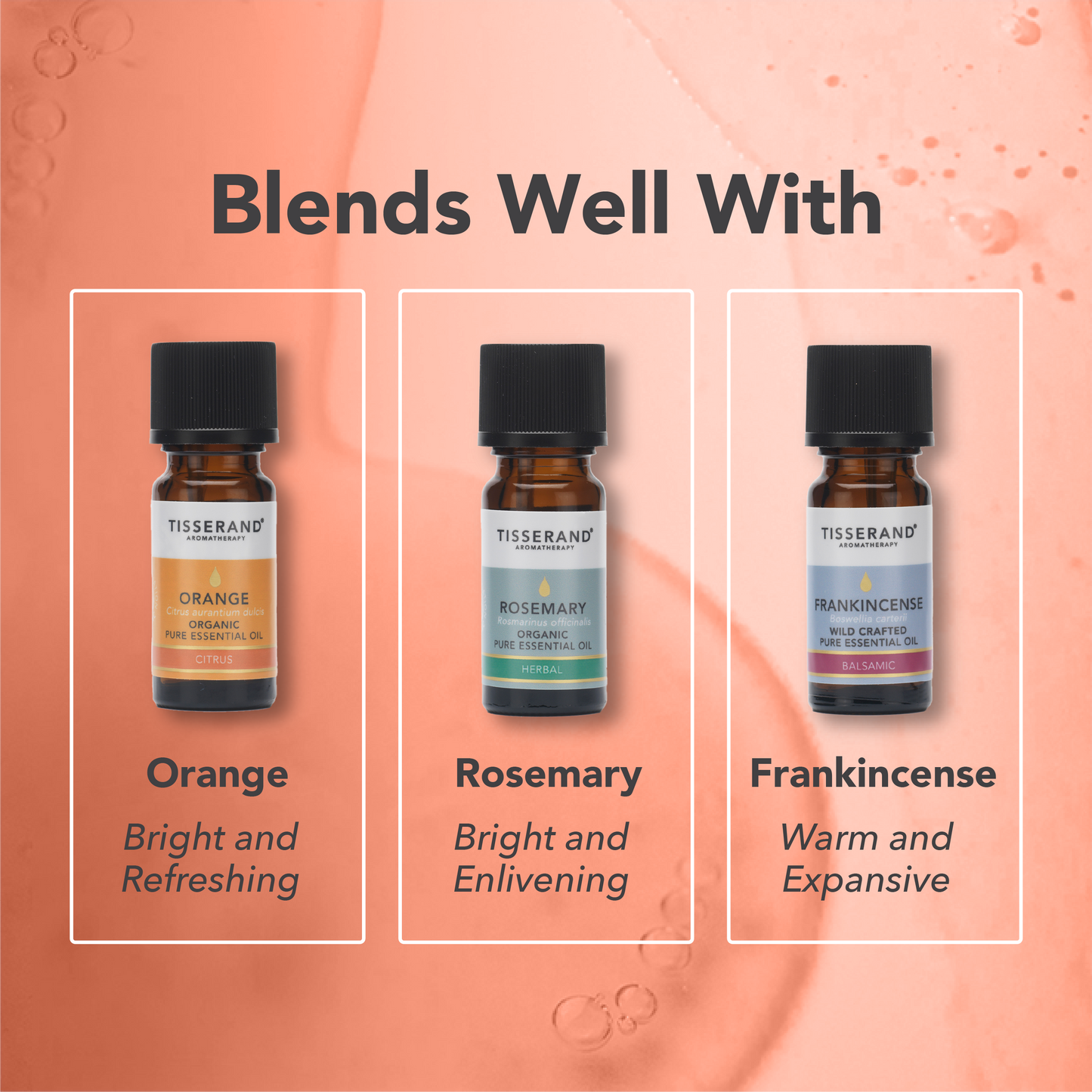 Ginger Essential Oil