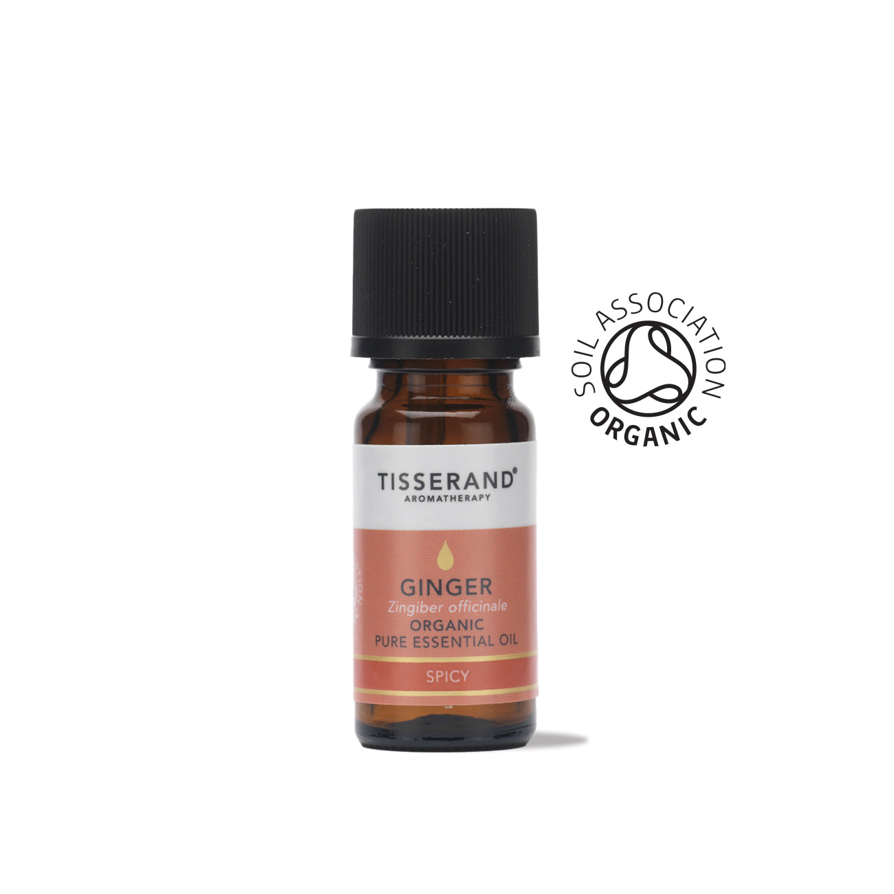 Ginger Essential Oil