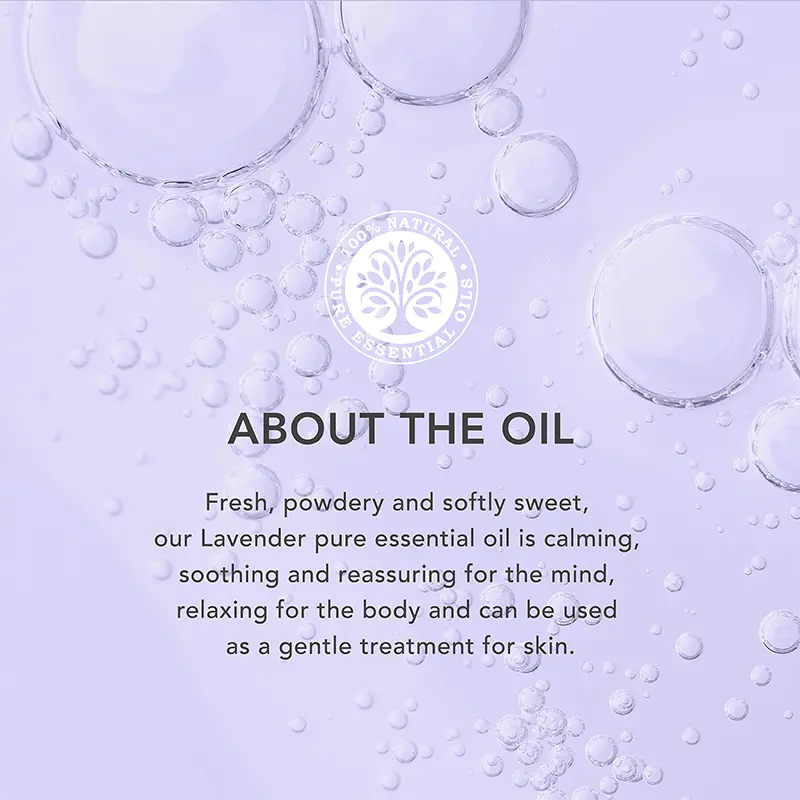 Lavender About the Oil