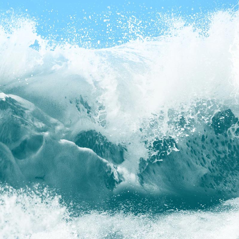 Ocean Calling