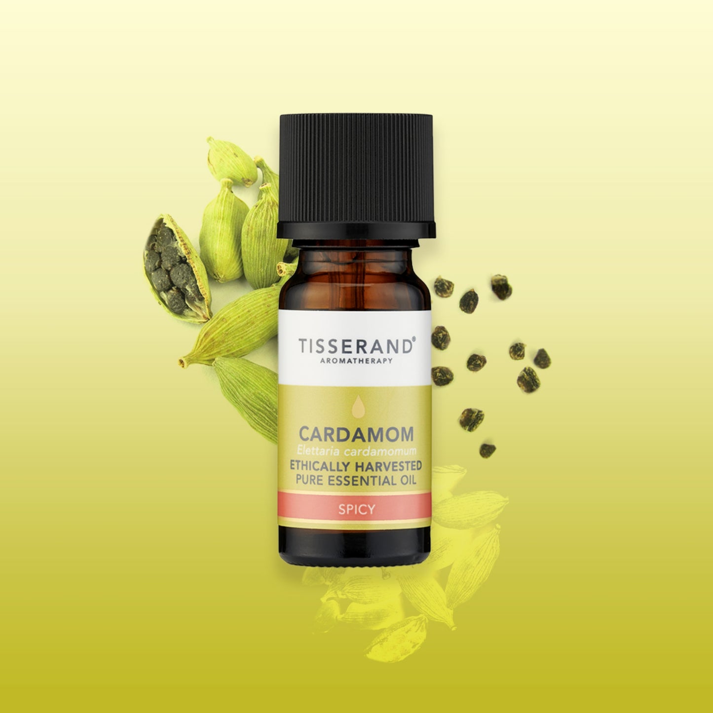 Cardamom Essential Oil