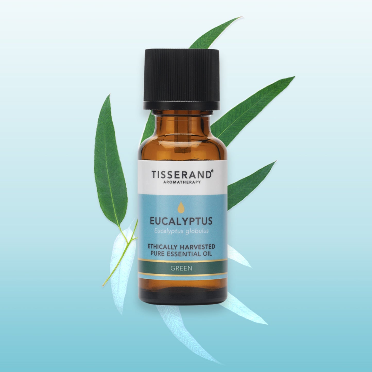 Eucalyptus Ethically Harvested Essential Oil
