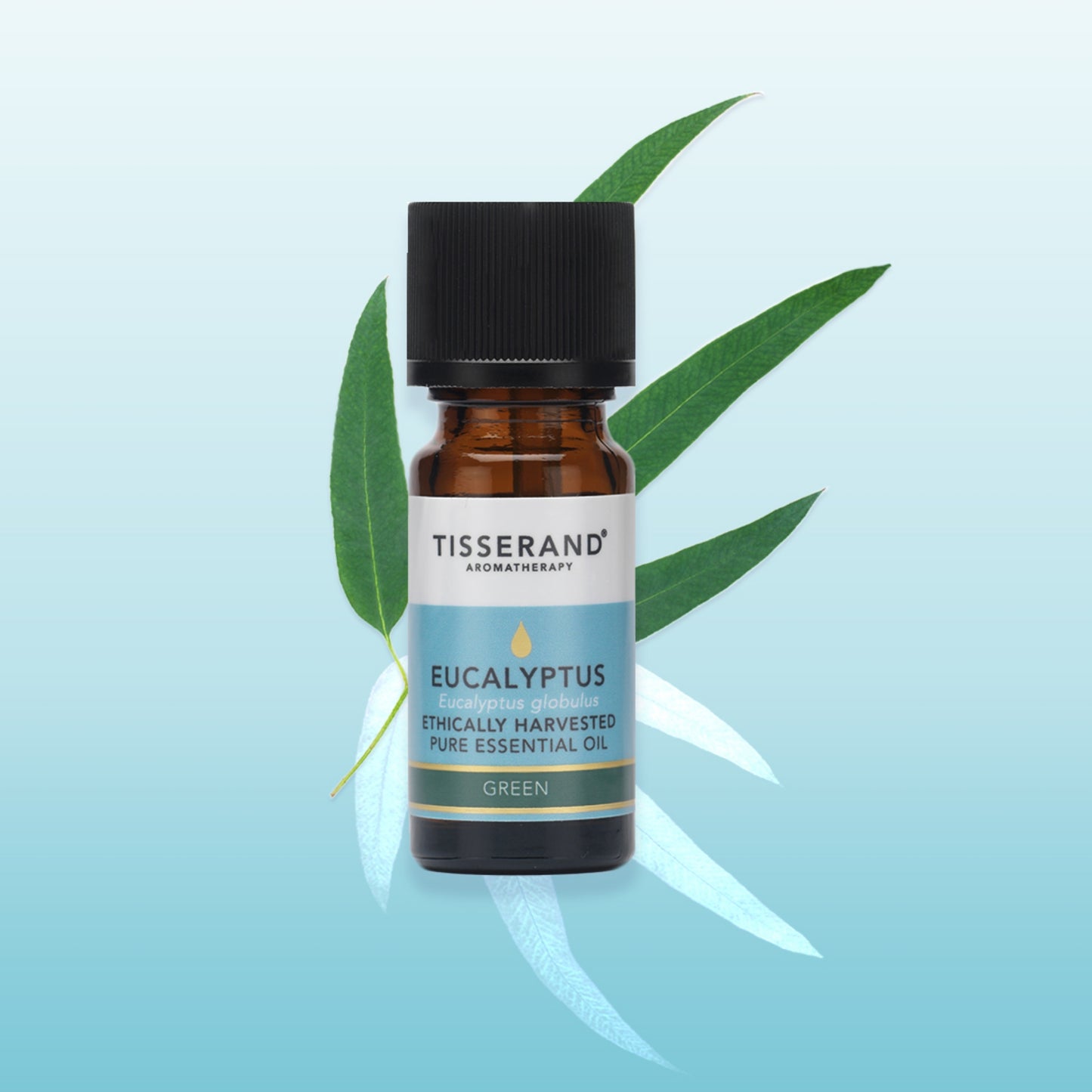 Eucalyptus Ethically Harvested Essential Oil