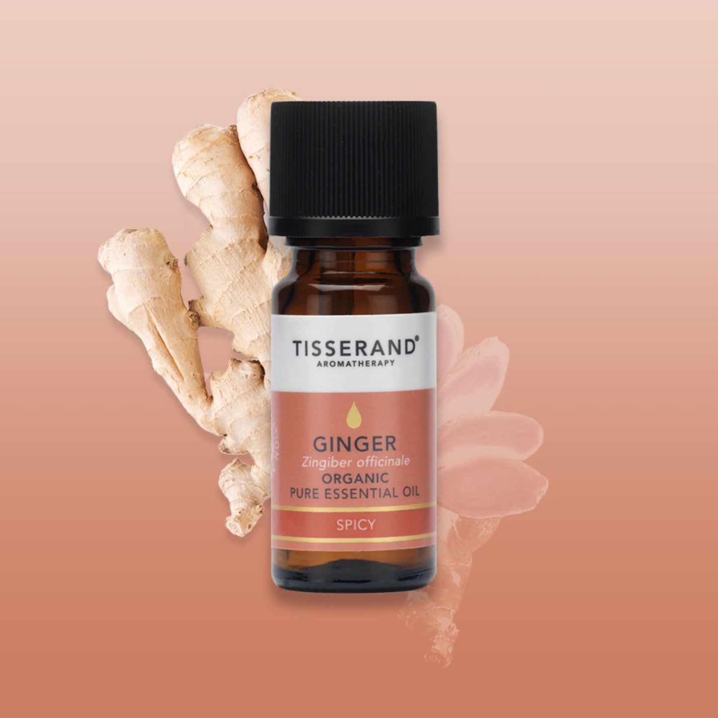 Ginger Essential Oil