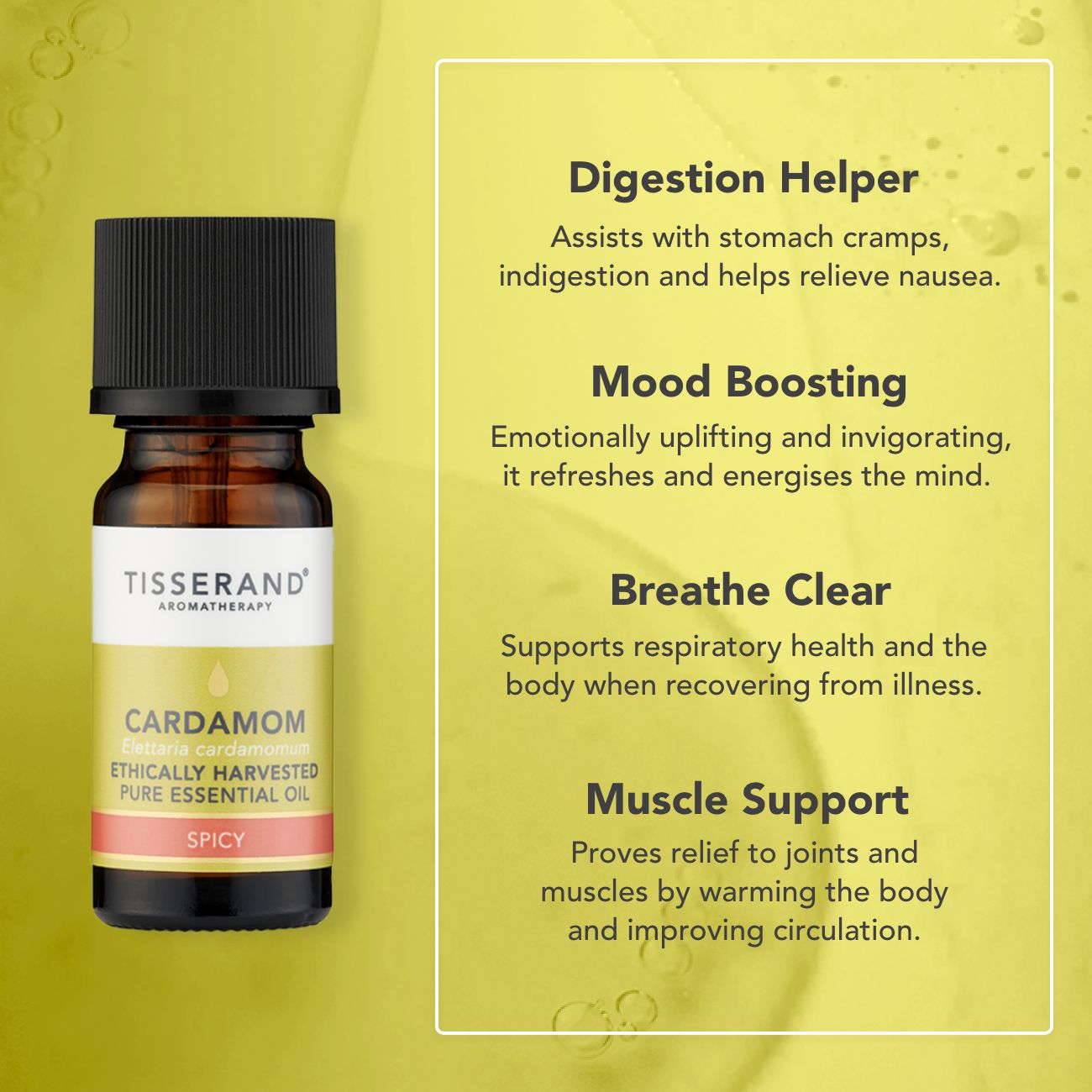 Cardamom Essential Oil