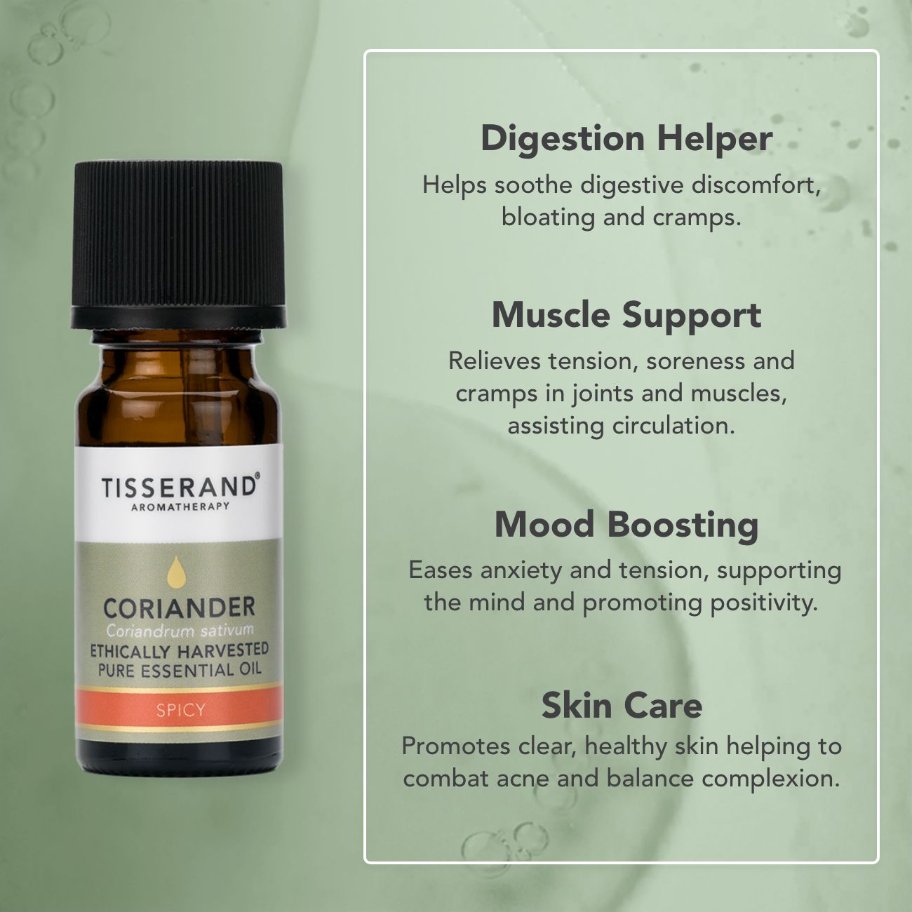 Coriander Essential Oil