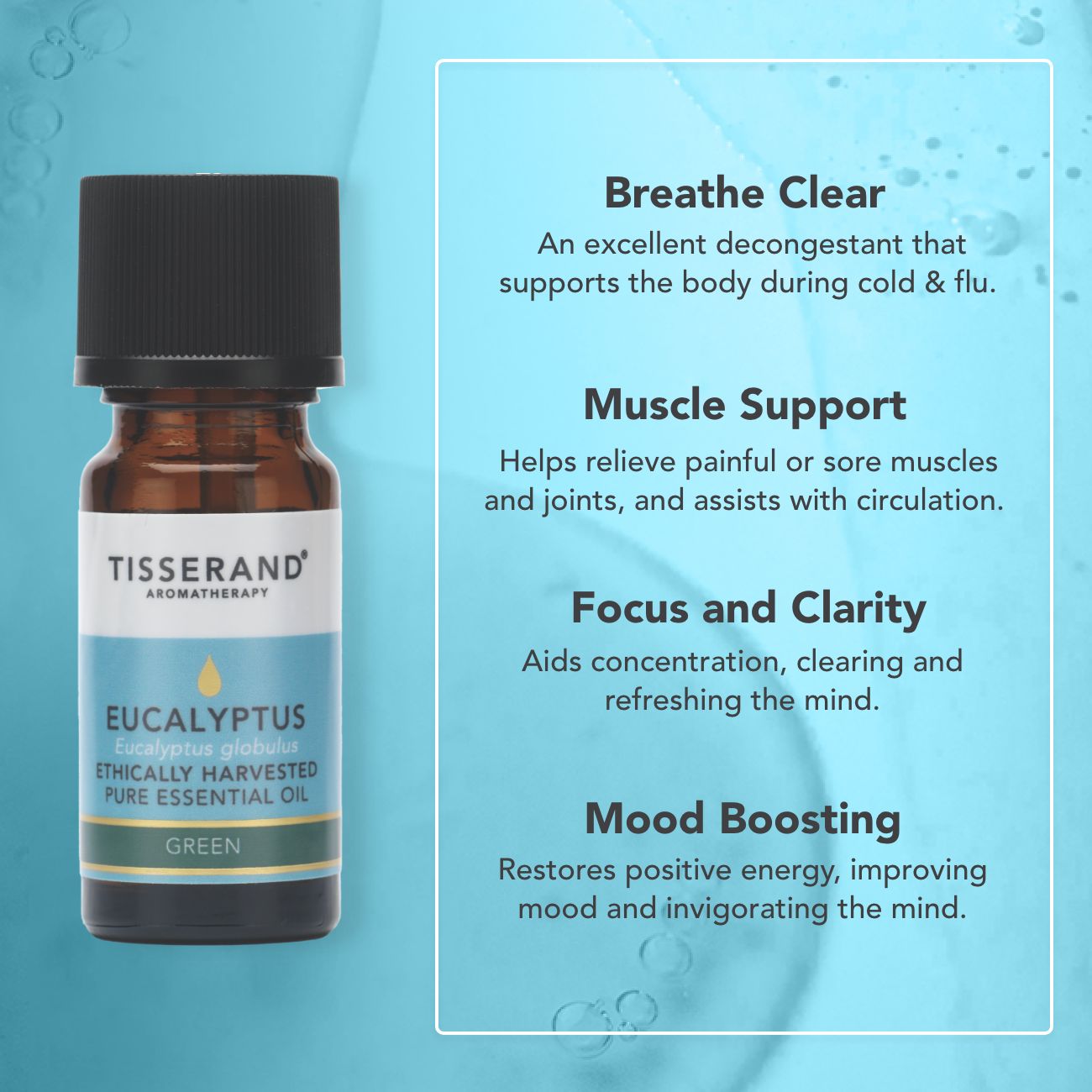 Eucalyptus Ethically Harvested Essential Oil