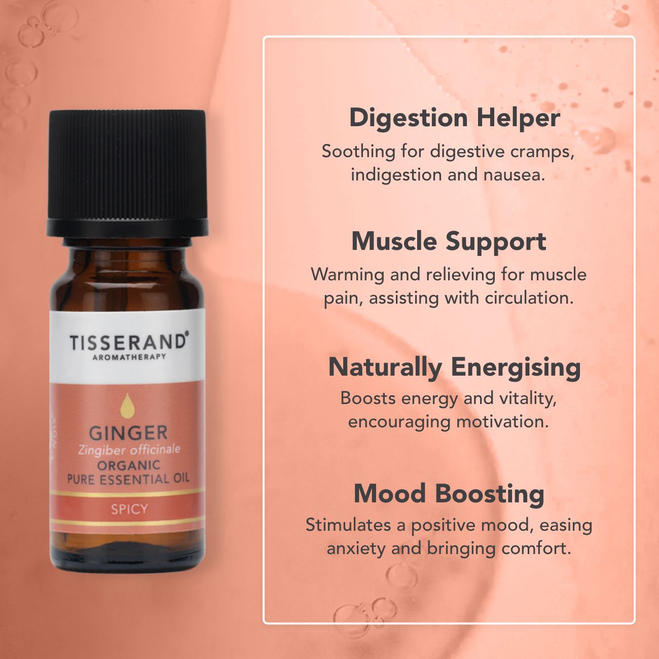 Ginger Essential Oil