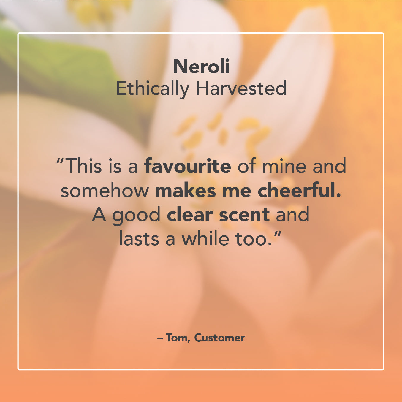 Neroli Essential Oil