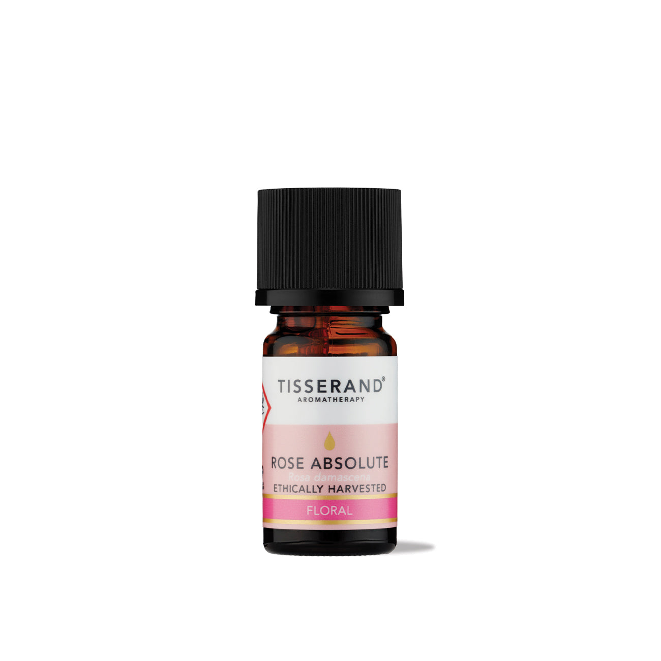 Rose Absolute Oil | Tisserand Aromatherapy Rose Absolute Oil | Tisserand Aromatherapy