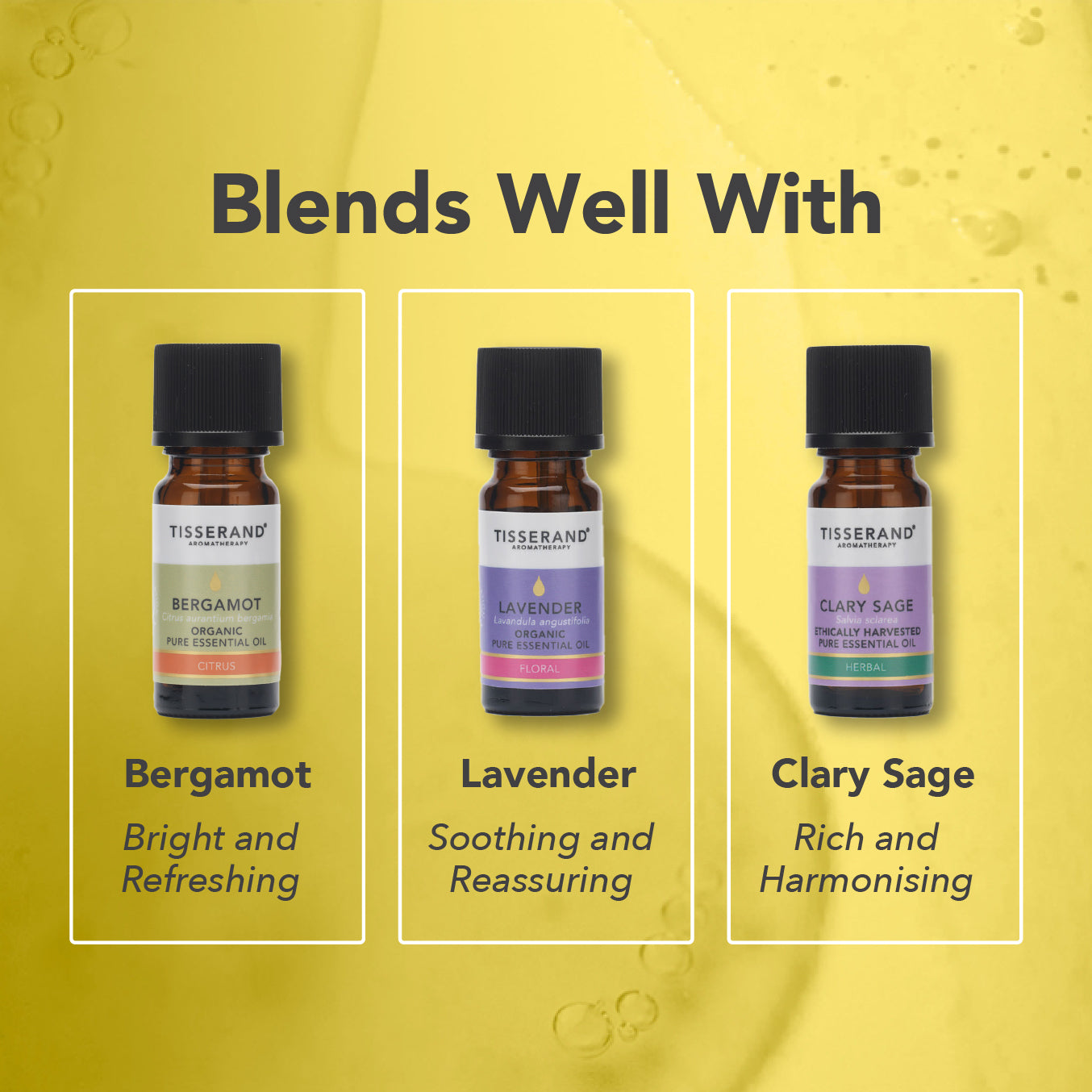 Ylang Ylang Essential Oil