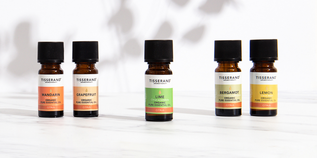 A short guide to 6 essential oil groups