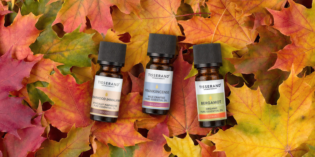 The Autumn Equinox: Navigating the Seasonal Shift with Essential Oils