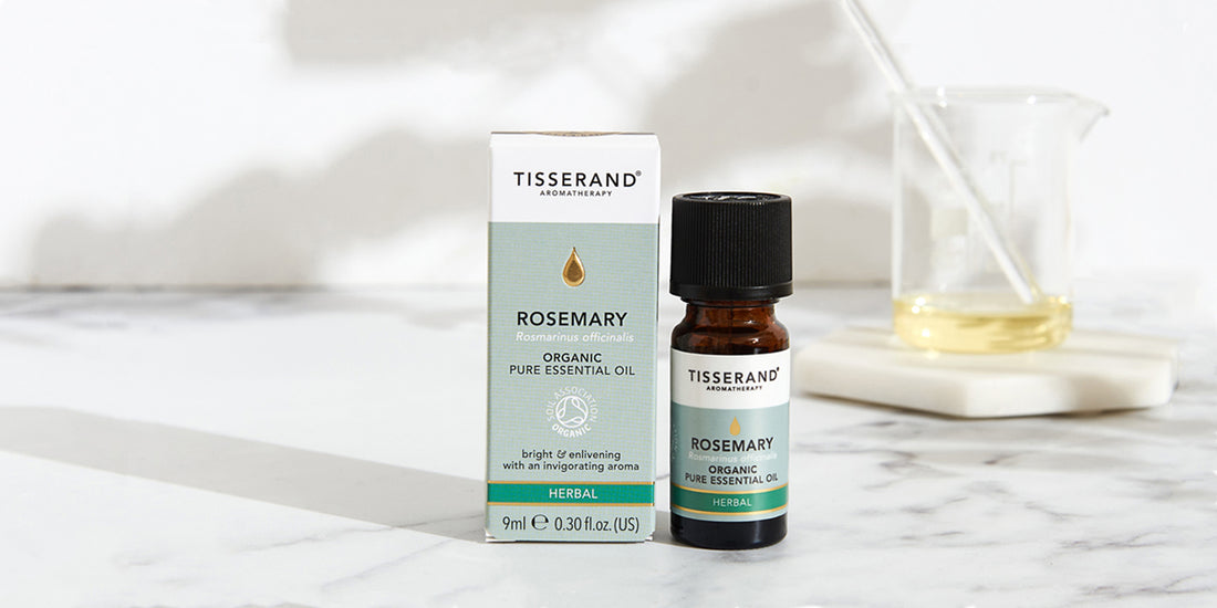 Blog image - Oil of the month - Rosemary