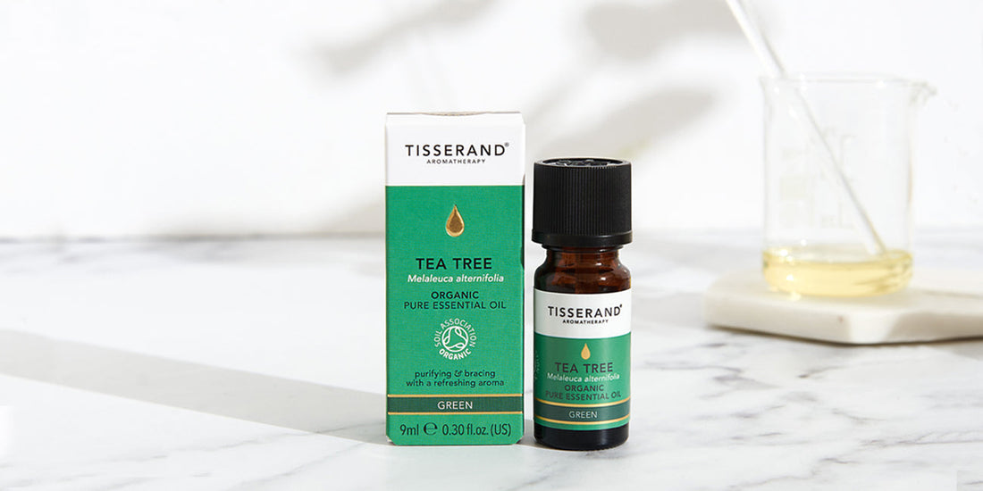 Blog image - Oil of the month copy