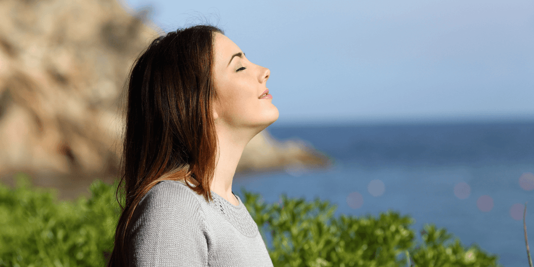 Can Menopause Affect Your Gut Health