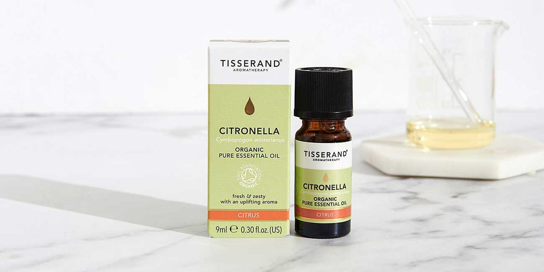 Citronella-Blog-Image