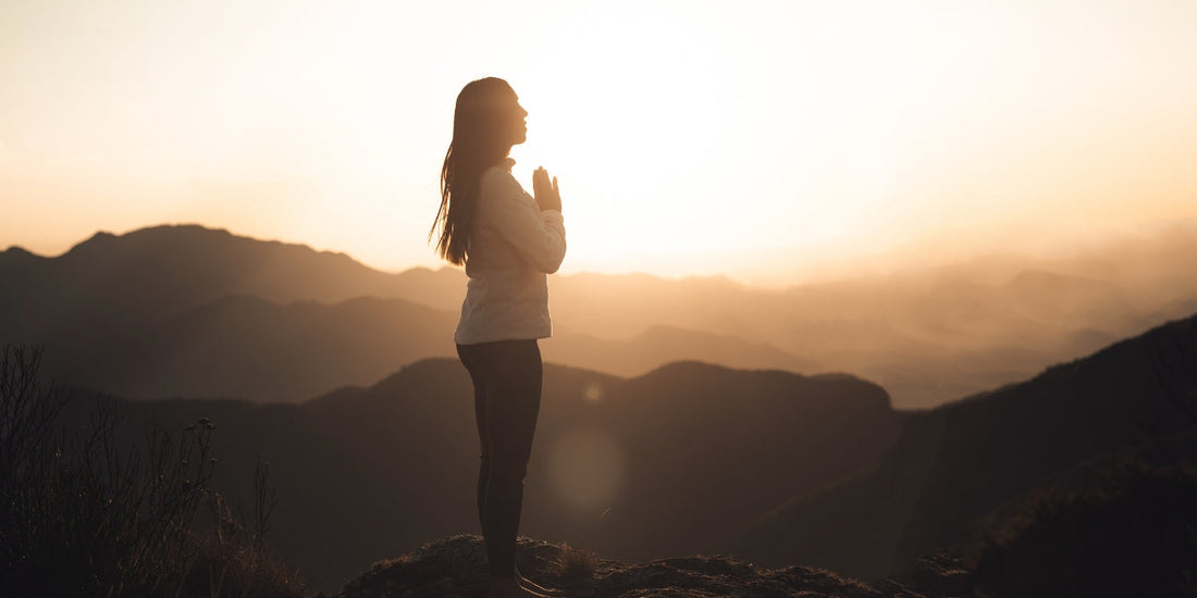 How Himalayan Cedarwood Essential Oil Can Support Your Spring Reset