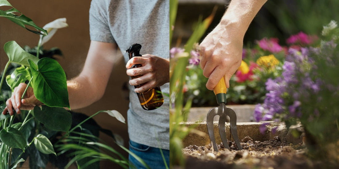 Gardening with Essential Oils: A Natural Approach to Pest Control
