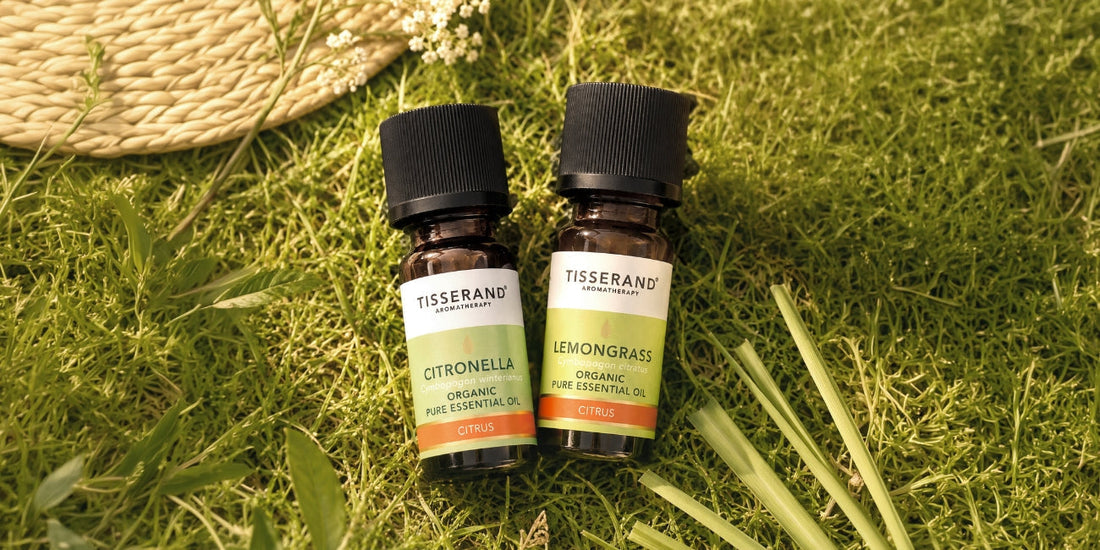 Do Natural Insect Repellents Actually Work?