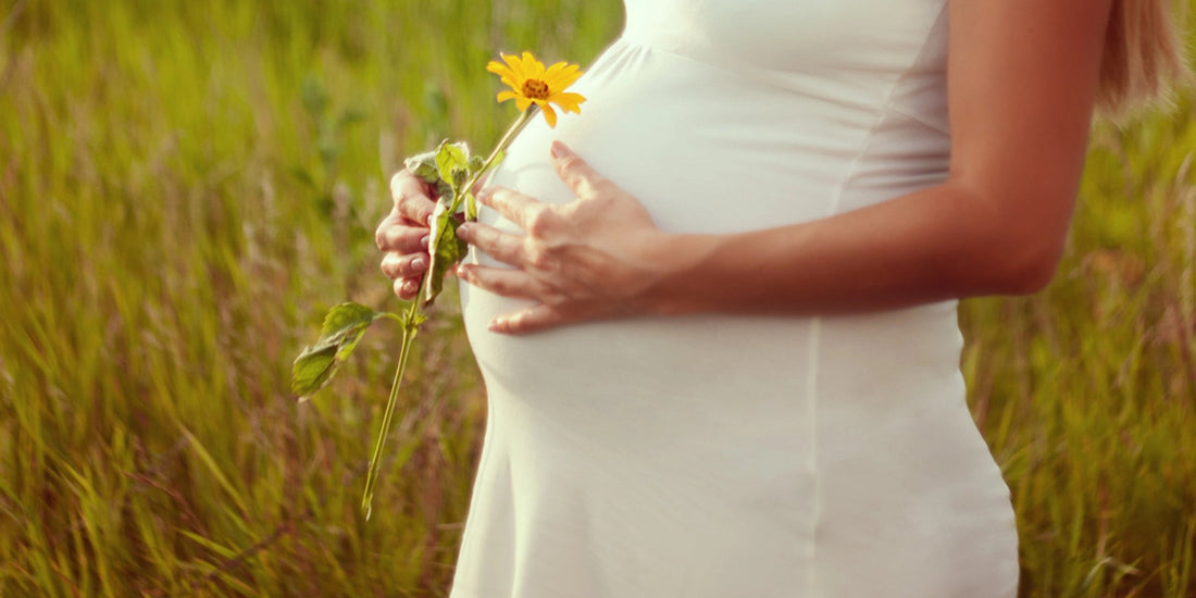 Pregnant woman holding yellow flower to her stomach