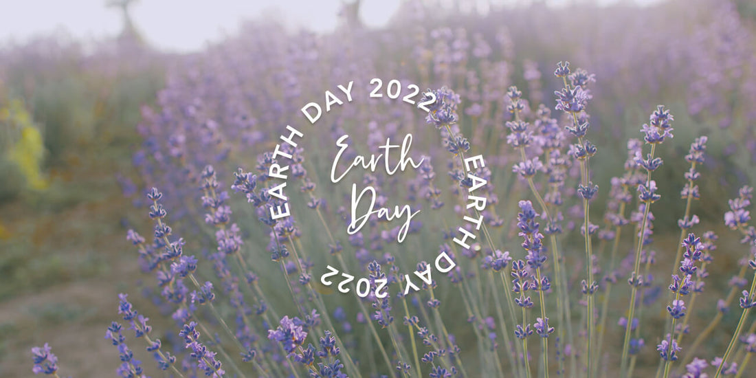 5 Sustainable Swaps to Celebrate Earth Day 2022