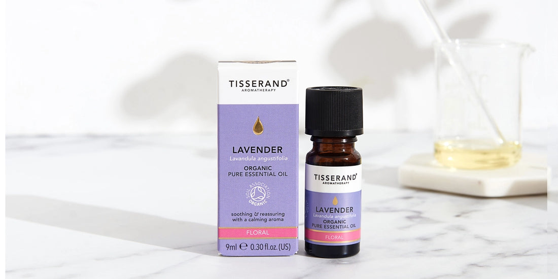 Lavender blog webp