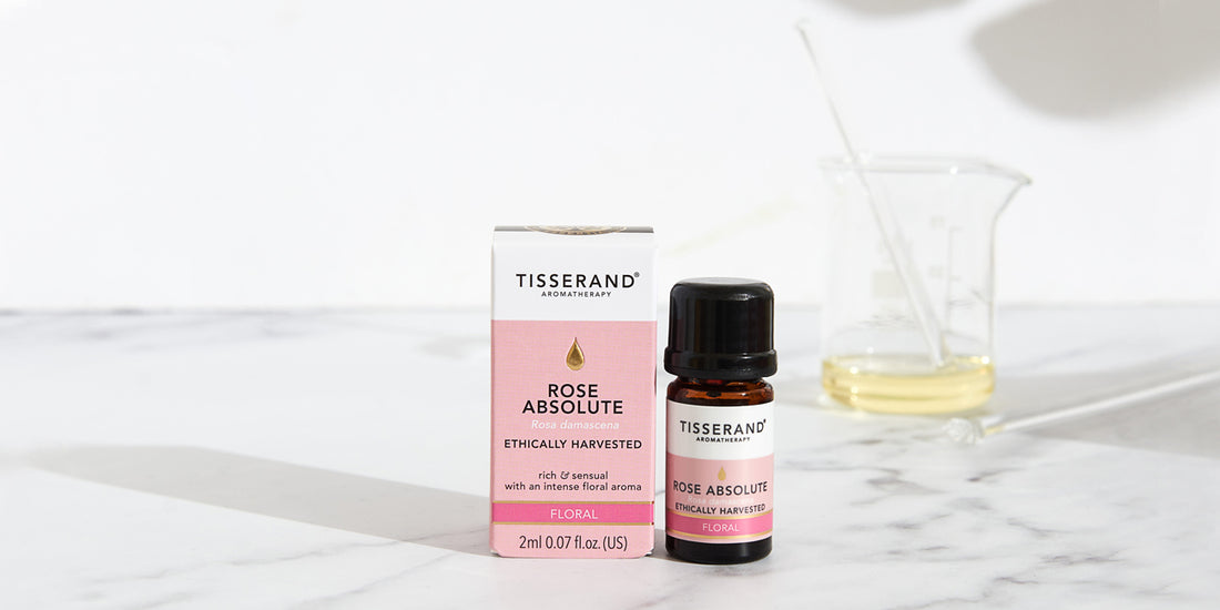 Rose Absolute: An Oil For Acceptance