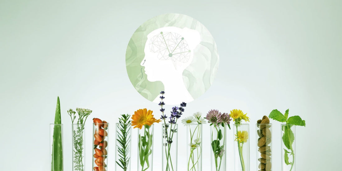 The Science of Scent: How Your Sense of Smell Shapes Your Wellbeing