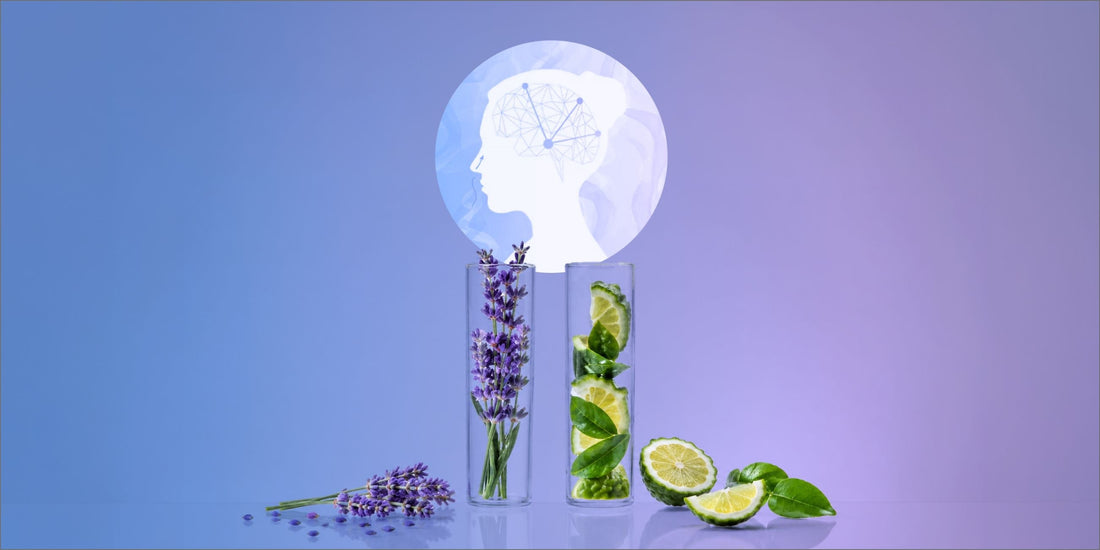 The Science of Scent: Scent Association & Conditioning
