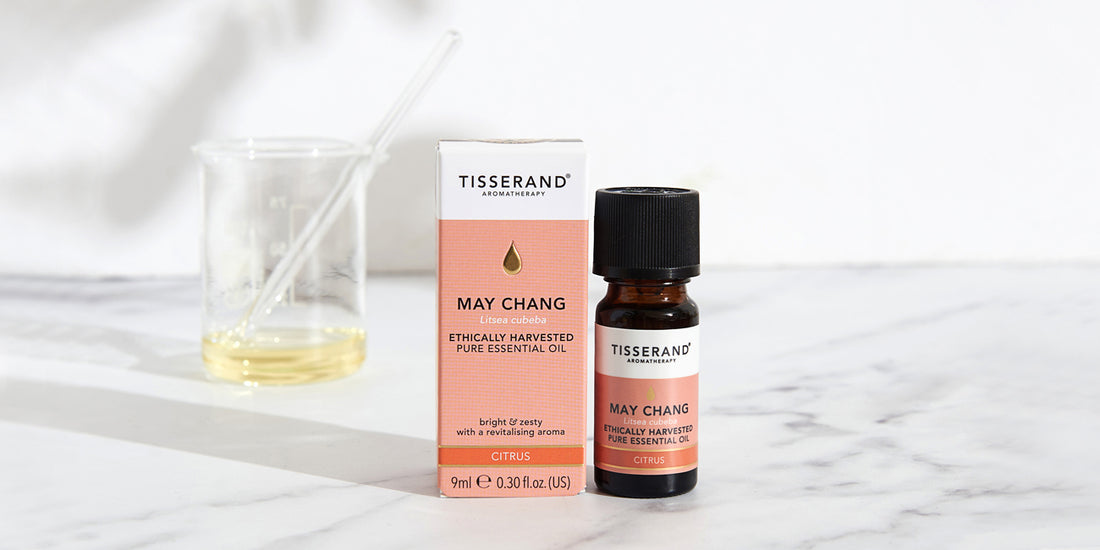 What are the benefits of May Chang essential oil