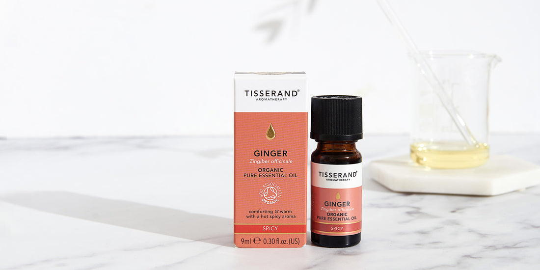 What is Ginger Essential Oil good for? 