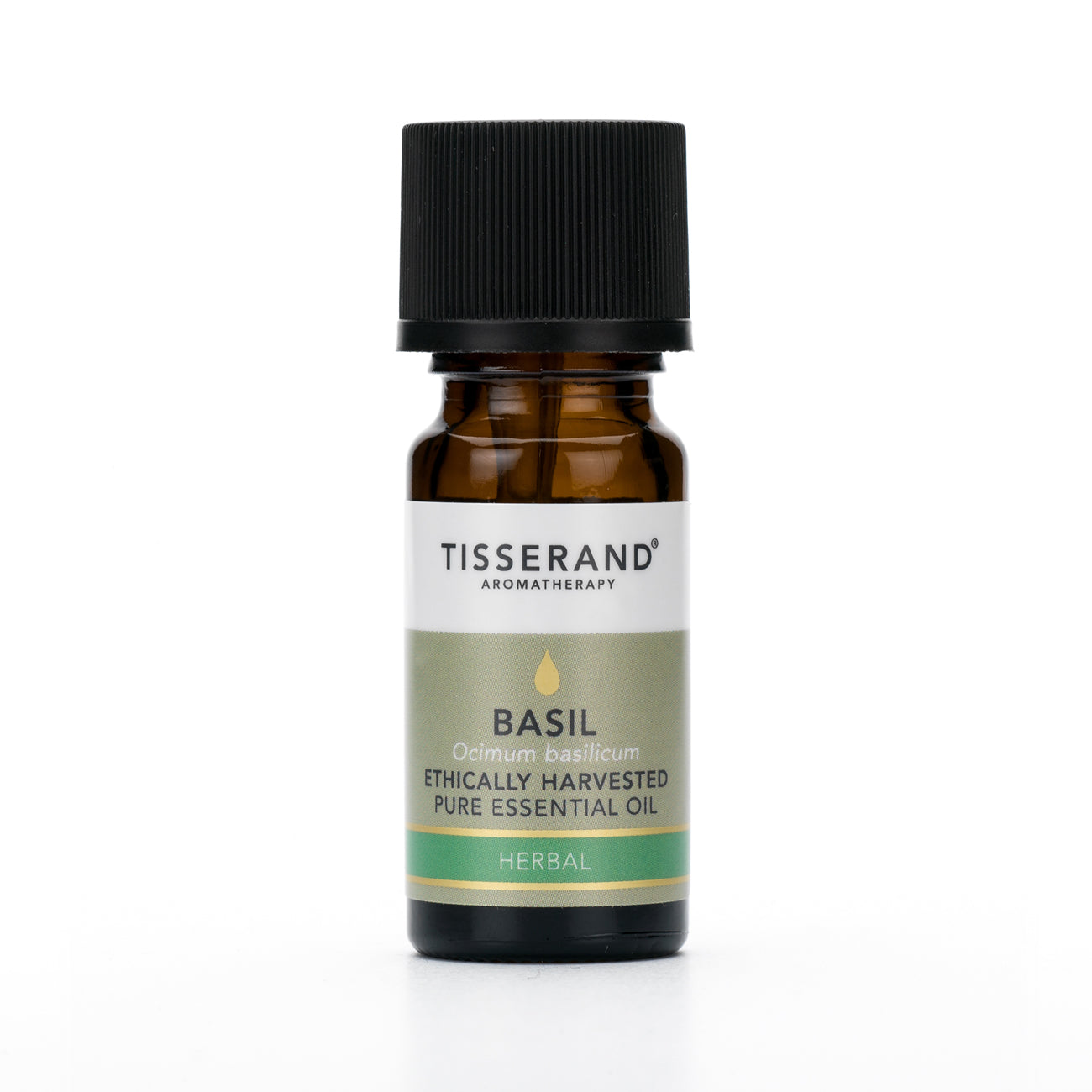 Basil Essential Oil