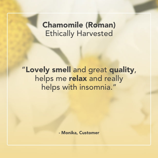 Chamomile Roman Essential Oil