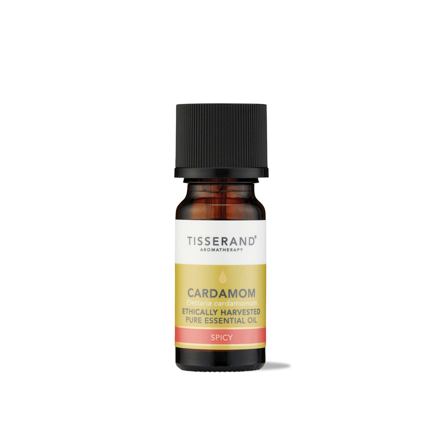 Cardamom Essential Oil