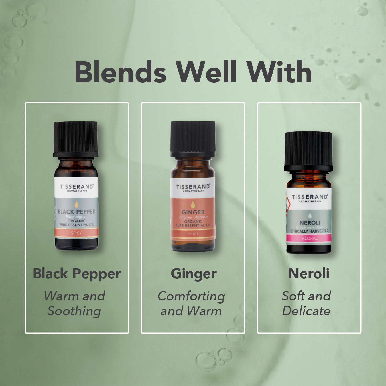 Coriander Essential Oil