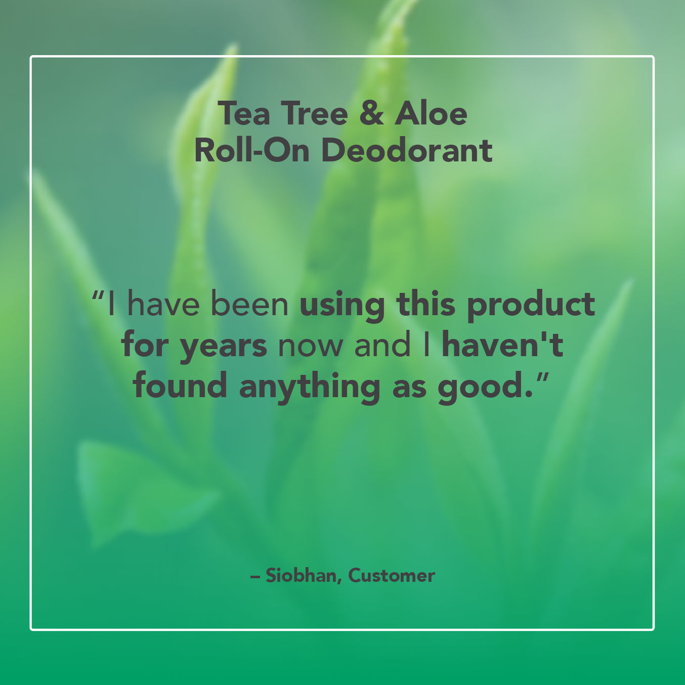 Tea Tree & Aloe Roll-On Deodorant