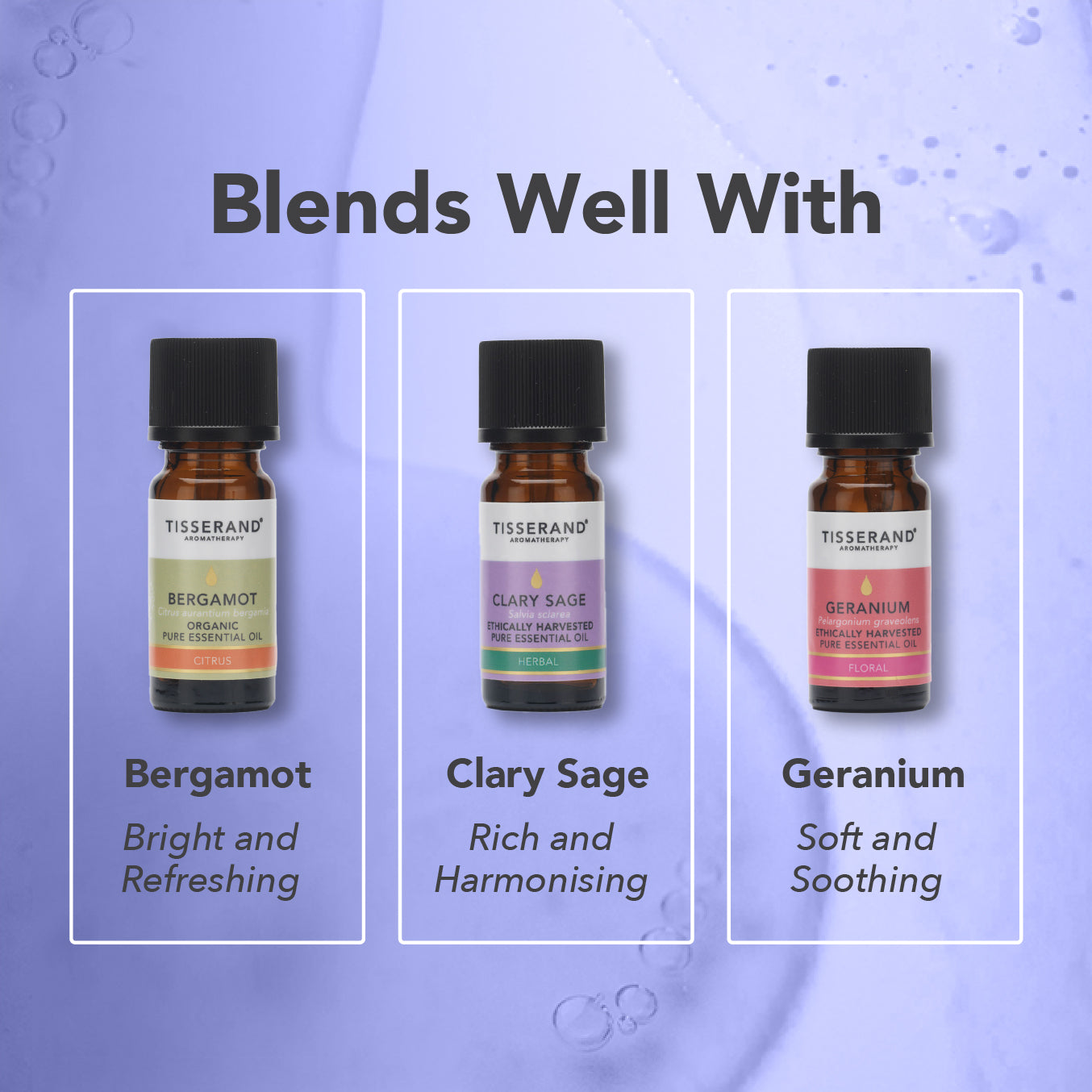 English Lavender Essential Oil
