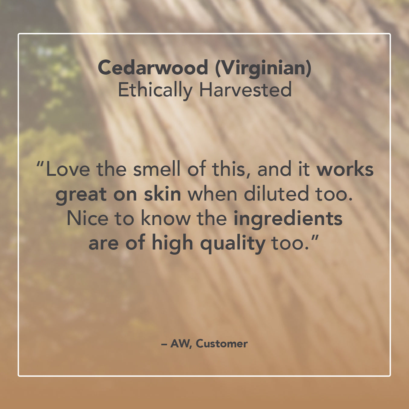 Cedarwood (Virginian) Essential Oil